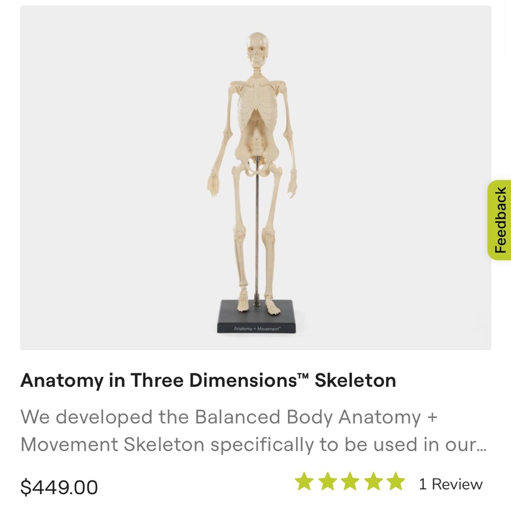 Balanced Body Anatomy Skeleton & Sculpt Kit